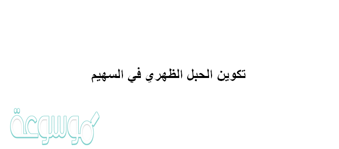 تكوين الحبل الظهري في السهيم