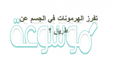 تفرز الهرمونات في الجسم عن طريق ؟