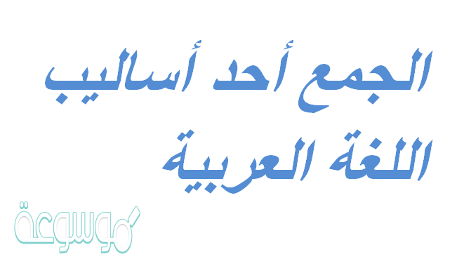 الجمع أحد أساليب اللغة العربية