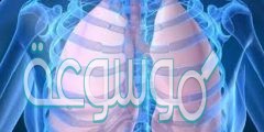 وضح كيف يدخل الهواء الى الرئتين وكيف يخرج منها