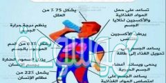 أهمية الماء لجسم الإنسان
