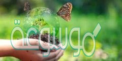اعط مثالا لبعض الممارسات المستخدمه للمحافظه على موارد البيئه
