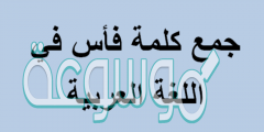 جمع كلمة فأس في اللغة العربية