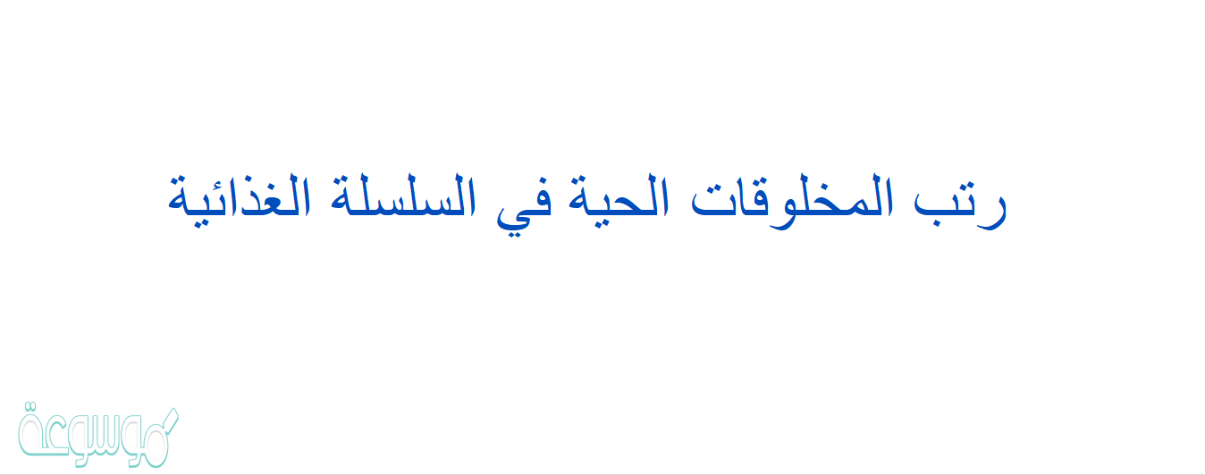 رتب المخلوقات الحية في السلسلة الغذائية