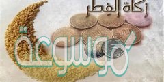 زكاة الفطر وهي تعني الصدقة