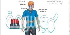 شرح درس جهاز الغدد الصم