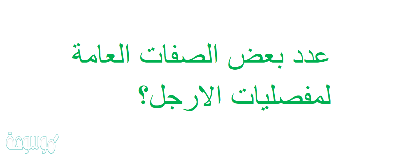 عدد بعض الصفات العامة لمفصليات الارجل؟