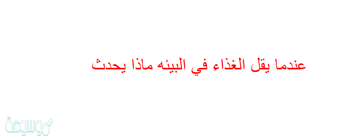 عندما يقل الغذاء في البيئه ماذا يحدث
