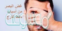 غض البصر من أسباب حفظ الفرج