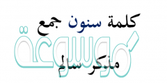 كلمة سنون جمع مذكر سالم