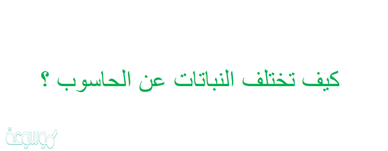 كيف تختلف النباتات عن الحاسوب ؟