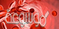 كيف تعالج فقر الدم 120 وصفة فعالة في علاج الأنيميا