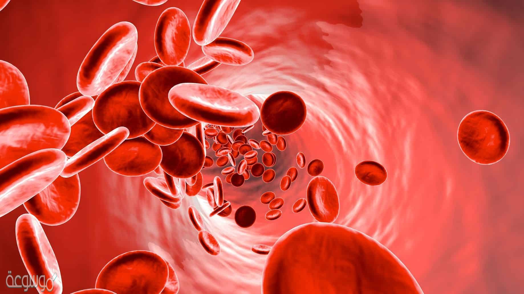 كيف تعالج فقر الدم 120 وصفة فعالة في علاج الأنيميا