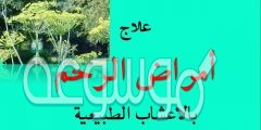 كيفية علاج نزيف الرحم بالأعشاب الطبيعية وطبيا مجرب