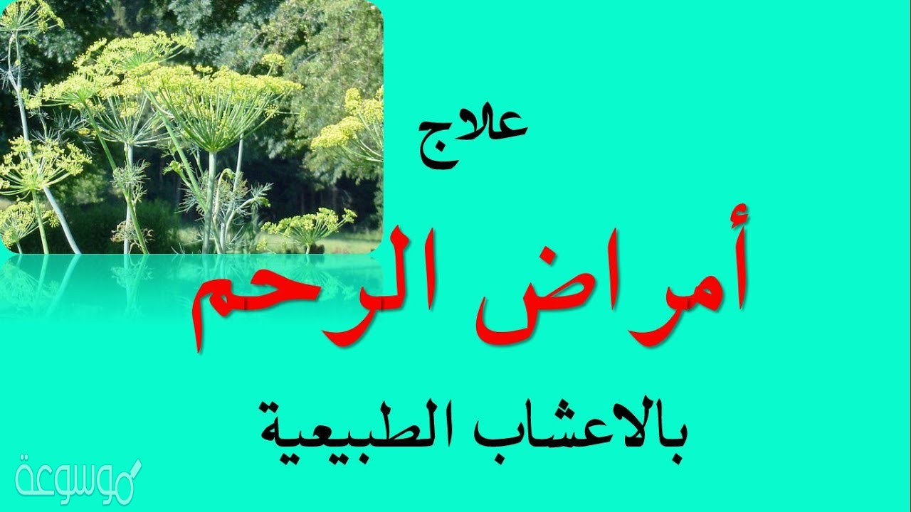 كيفية علاج نزيف الرحم بالأعشاب الطبيعية وطبيا مجرب