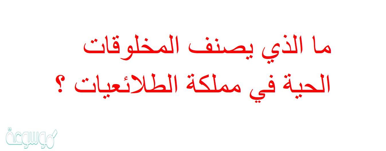 ما الذي يصنف المخلوقات الحية في مملكة الطلائعيات ؟