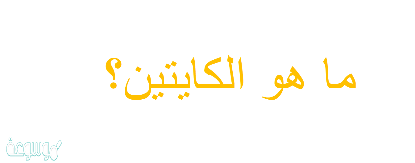 ما هو الكايتين؟