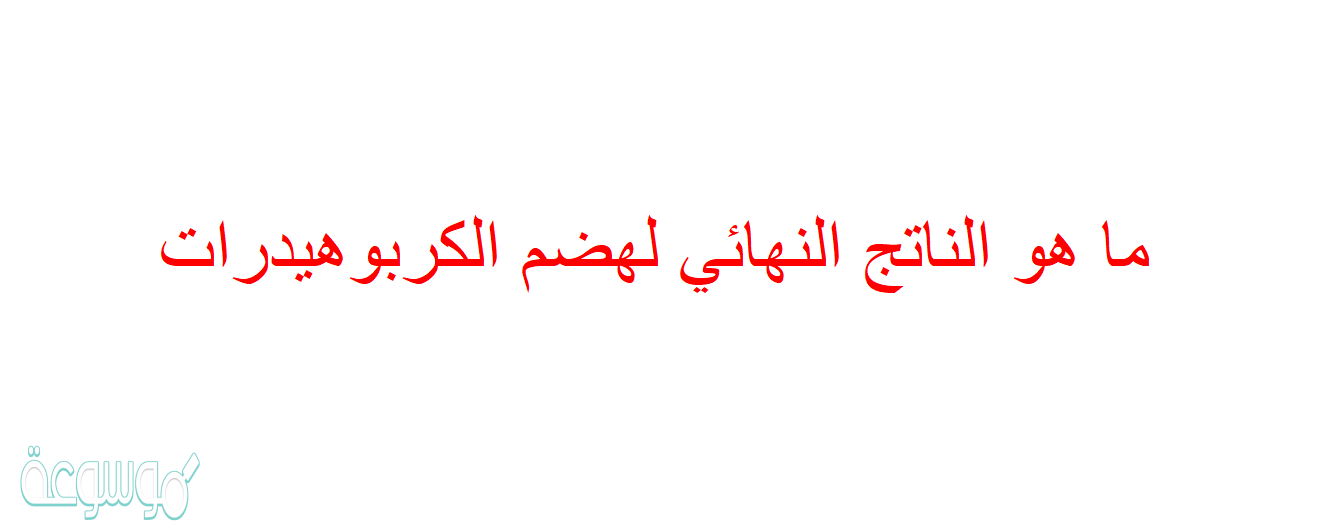 ما هو الناتج النهائي لهضم الكربوهيدرات