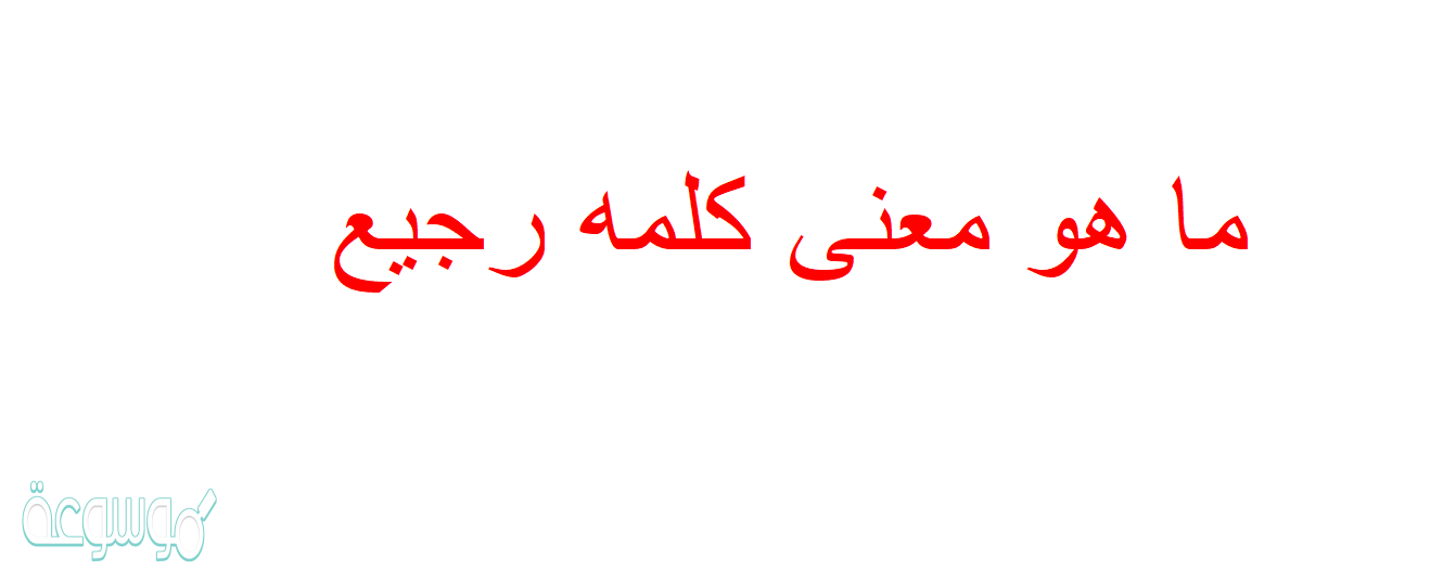 ما هو معنى كلمه رجيع