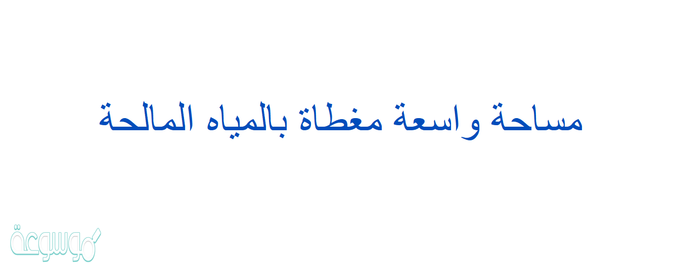 مساحة واسعة مغطاة بالمياه المالحة