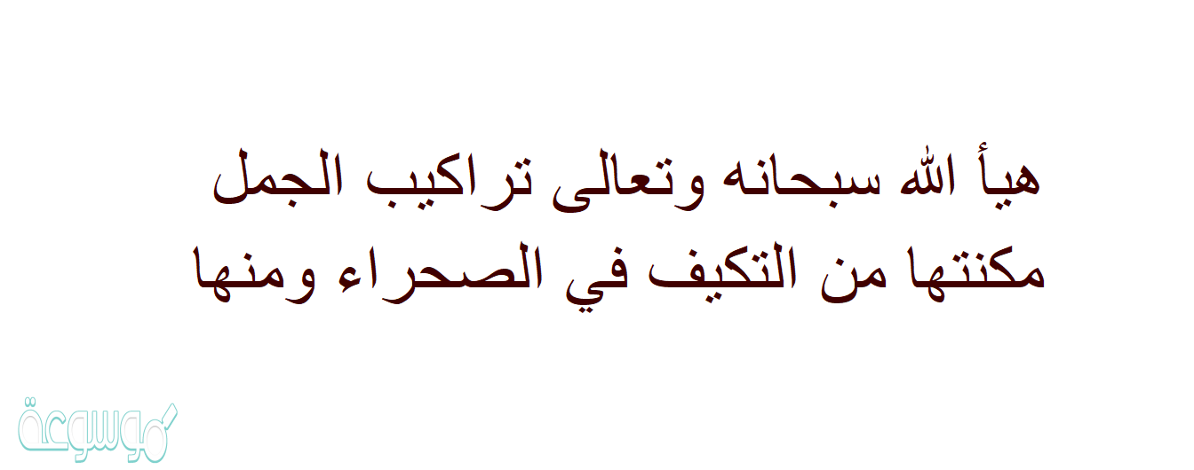 هيأ الله سبحانه وتعالى تراكيب الجمل مكنتها من التكيف في الصحراء ومنها