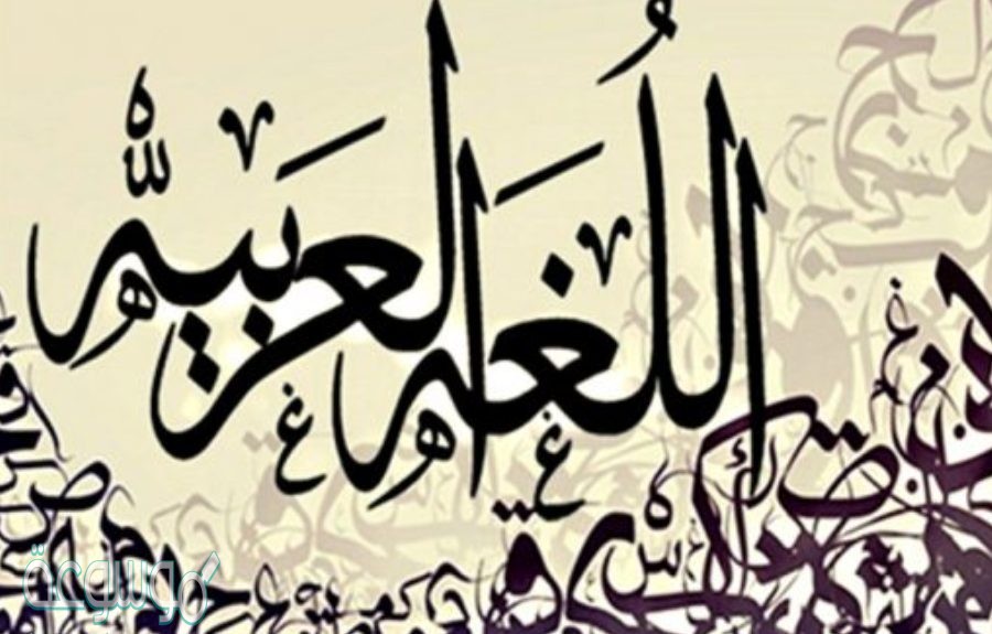 ورق عمل درس الحروف المرتكزة على السطر