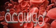 يحمل الدم النواتج المطروحة من نشاط الخلية إلى ليتخلص منها