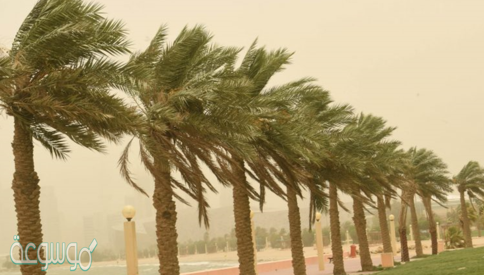 العوامل التي تحدد سرعة الرياح وتؤثر بذلك في الظروف الجوية