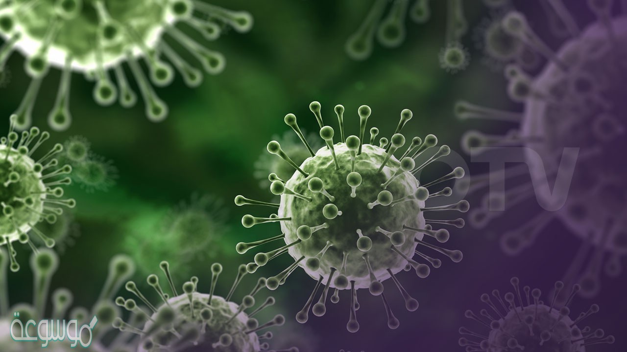 ما هي اعراض الإصابة بفيروس نيباه