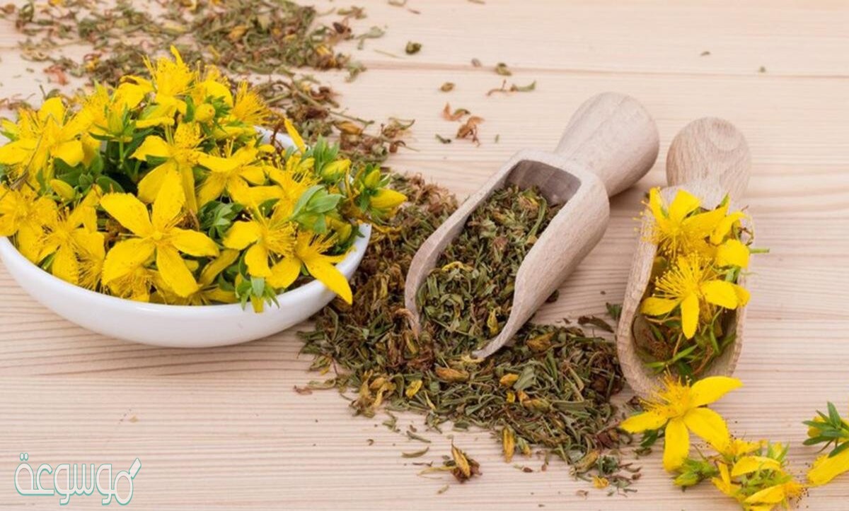 نبذة عن العلاج بالاعشاب