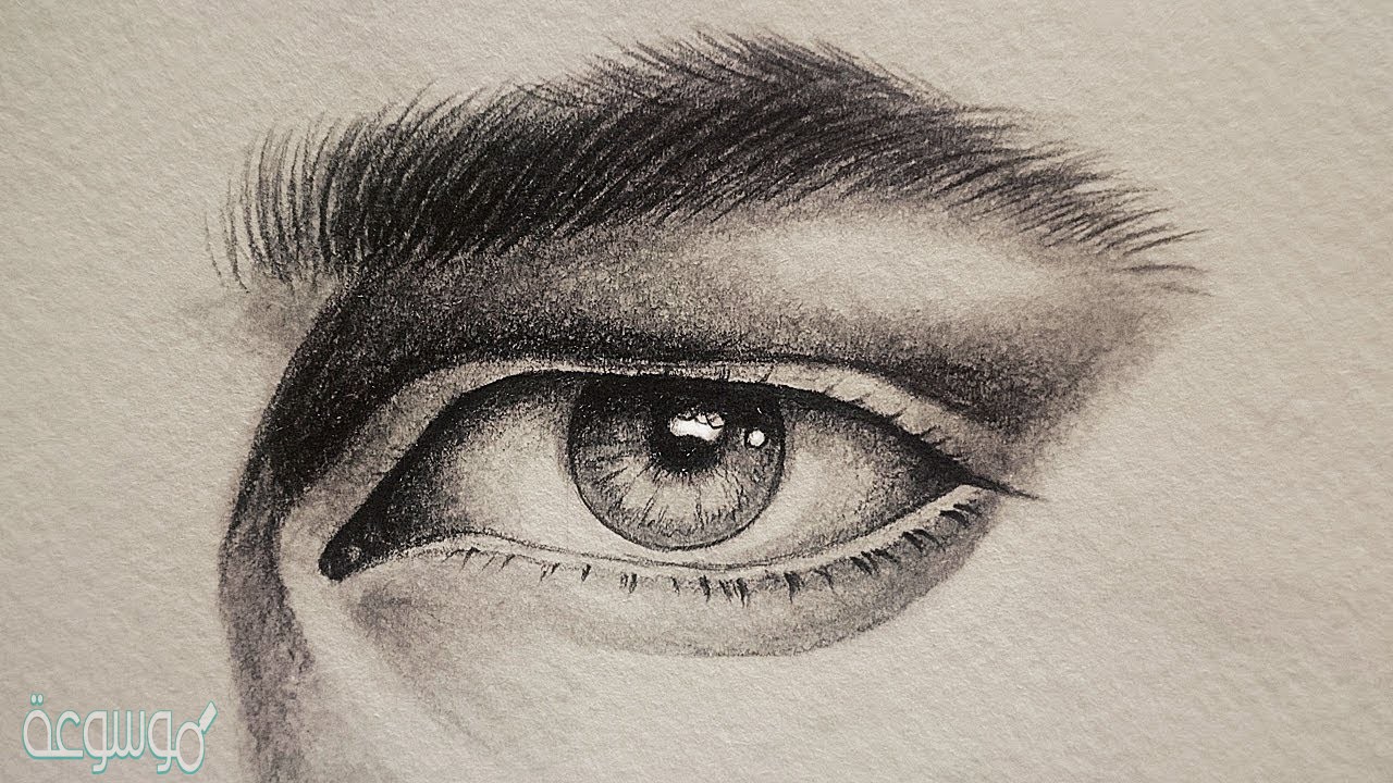 تفسير حلم الحواجب الجميلة في المنام