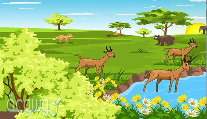 انتقال الطاقة في النظام البيئي