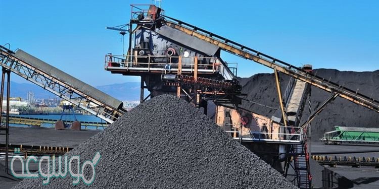 يسمى كل من الفحم الحجري والنفط