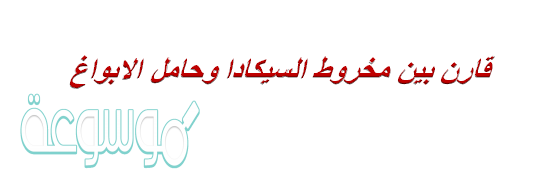 قارن بين مخروط السيكادا وحامل الابواغ