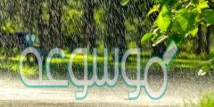 اجمل عبارات عن صوت المطر 2022