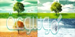 تحدث الفصول الأربعة بسبب دوران الأرض حول محورها صح او خطا