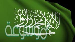 من الجهه التي تصدر النظام في المملكه العربيه السعوديه