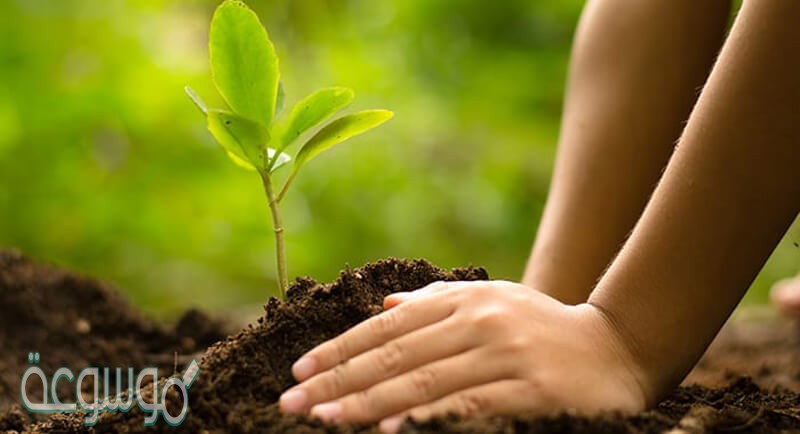 قارن بين العوامل الحيويه واللاحيوية