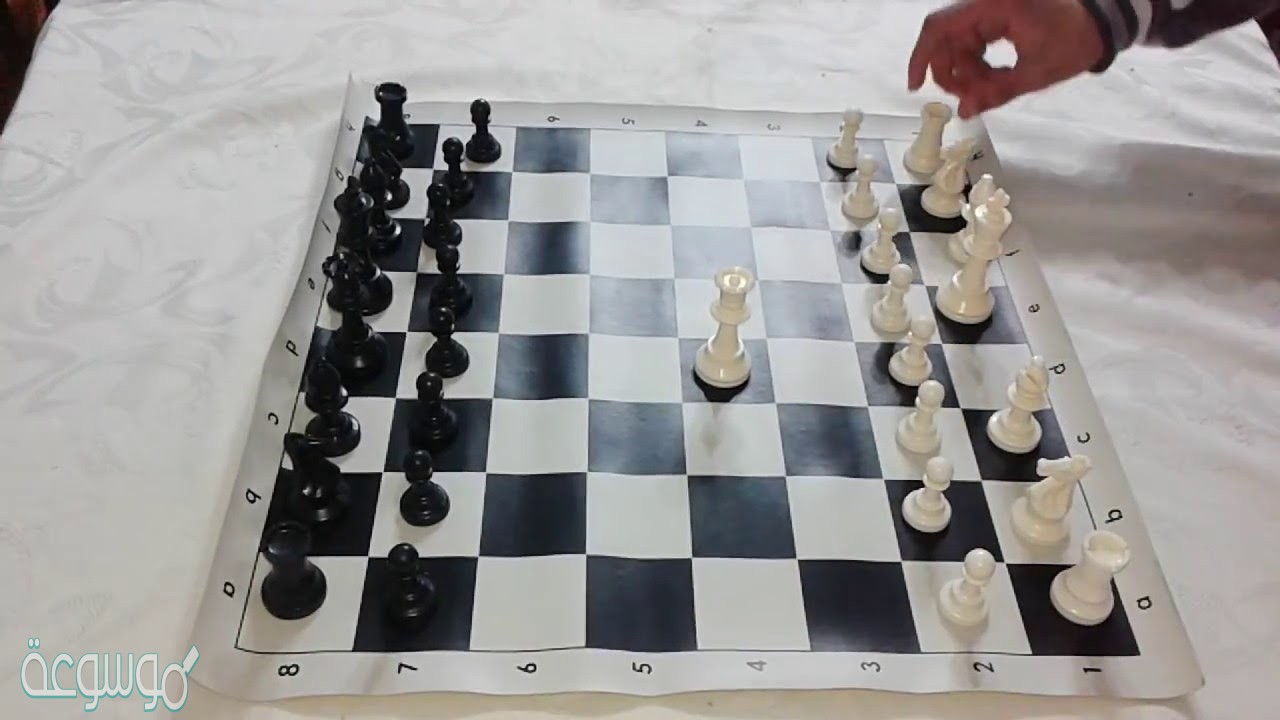 كيفية لعب الشطرنج باحتراف