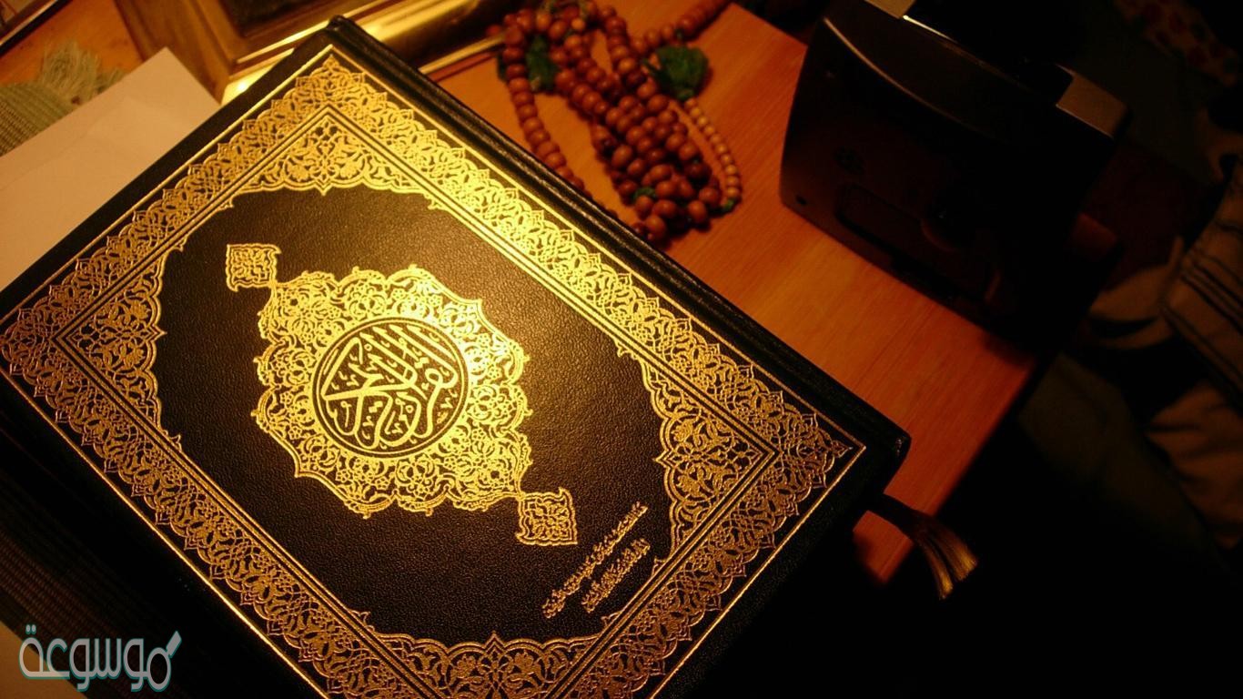 في القصتين السابقتين من الفوائد والعبر وهي