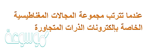مجموعة المجالات المغناطيسية الخاصة