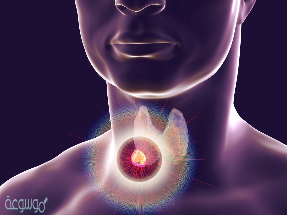 إحدى الغدد الآتية ليس غدة صم