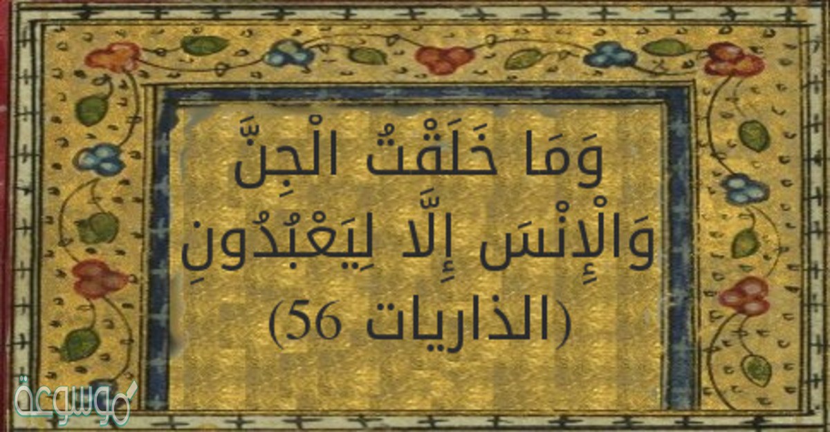 التسبيح خاص بالإنس والجن