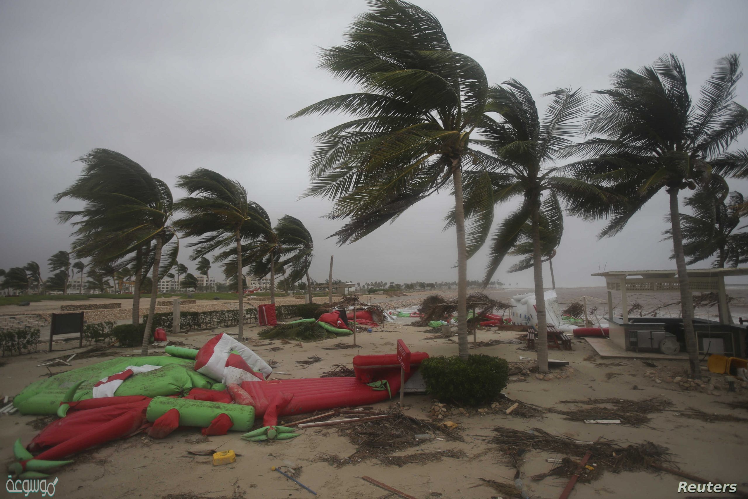 الرياح التي تهب على دول شبه الجزيره العربيه هي من نوع الرياح