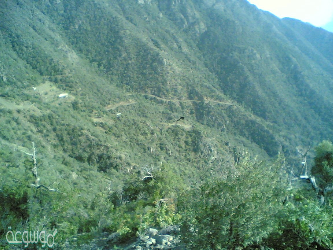 اين تقع جبال السودة