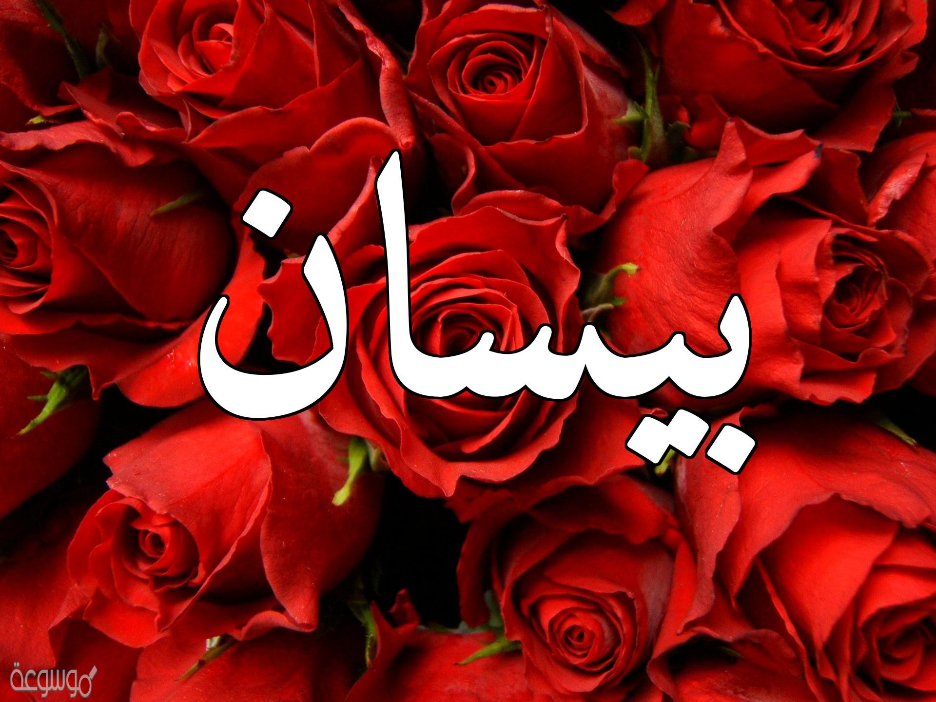 معنى اسم بيسان Besan في القرآن وحكم التسمية في الإسلام