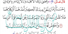بين تفسير الآيات التالية واخفض لهما جناح الذل من الرحمه