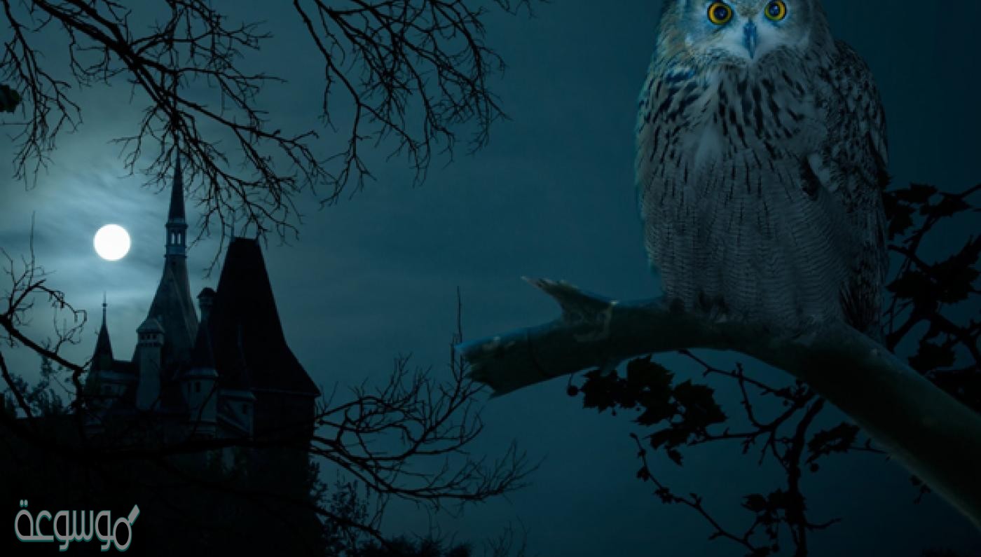 ما اصل التطير عند العرب في الجاهلية وما سبب وقوعهم فيه