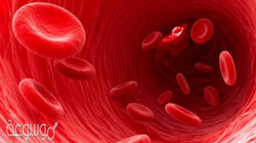 تنتج خلال الدم الحمراء في نخاع العظم بمعدل مليوني خلية في الثانية ما عدد خلايا الدم الحمراء التي تنتج خلال ساعة