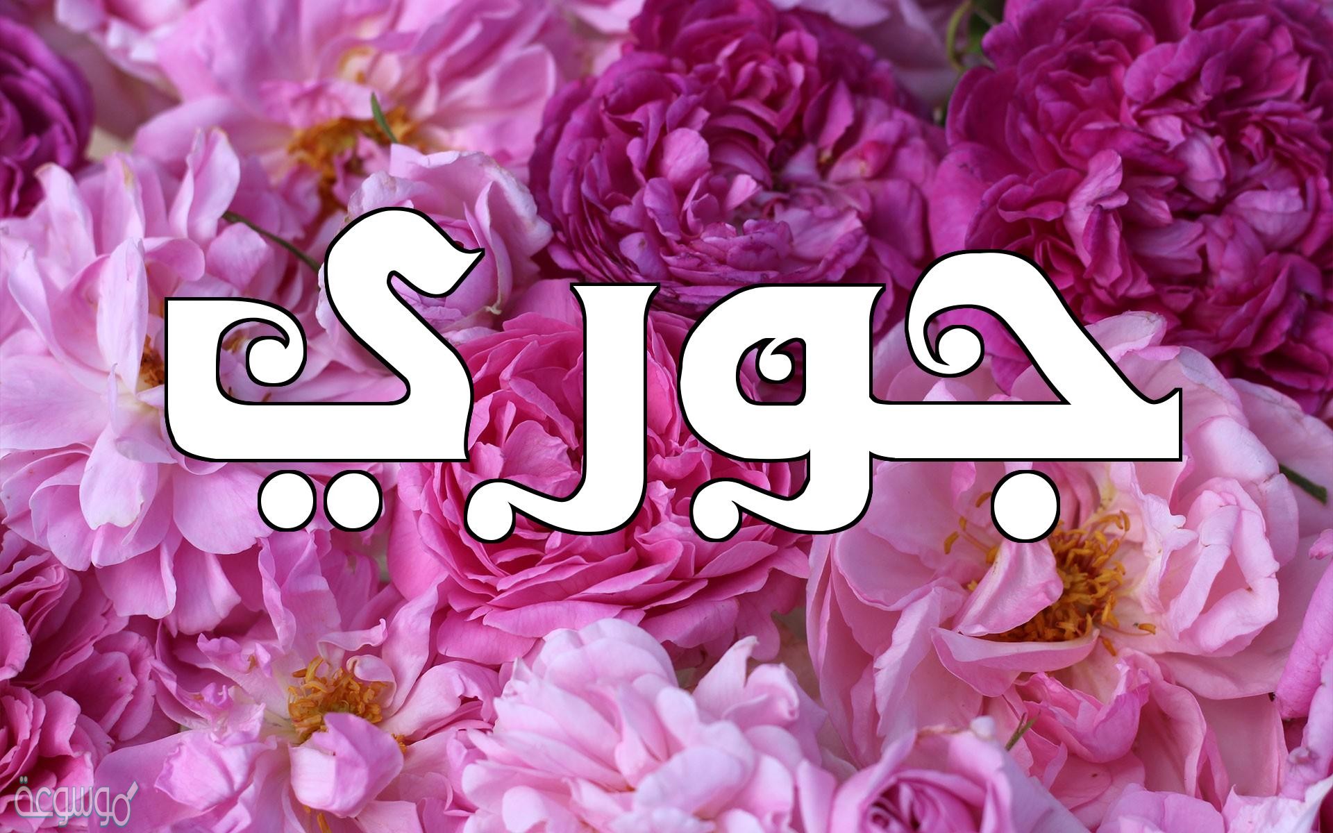 معنى اسم جوري Joury في الاسلام